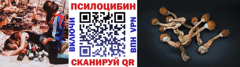 Псилоцибиновые грибы Cubensis Шумерля